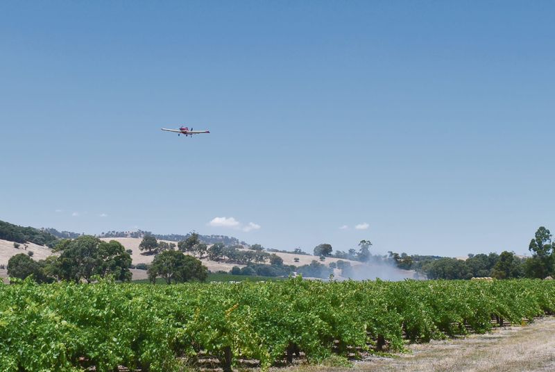 Fire at Lyndoch vineyard post image