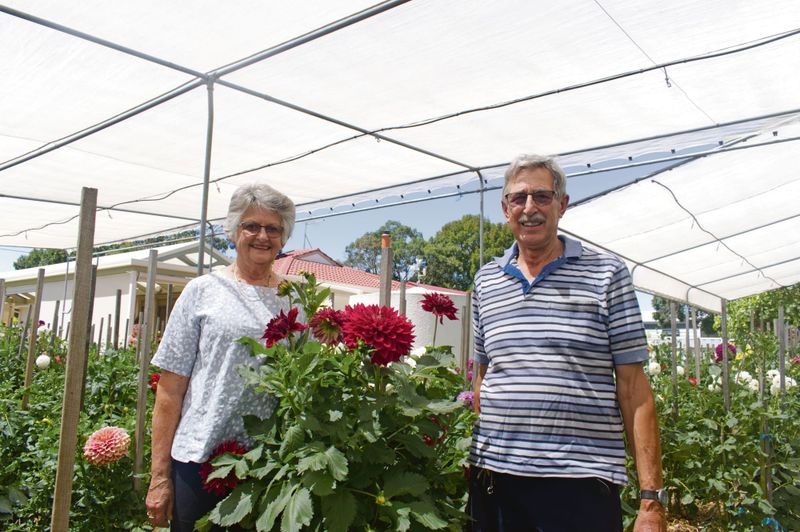 A sweet obsession post image