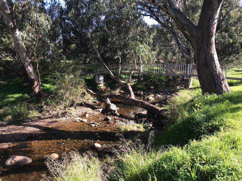 Barossa water decline informs amended plan post image