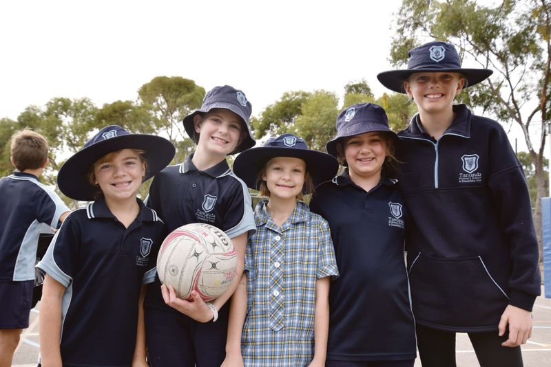 Netball on the Road in the Barossa post image