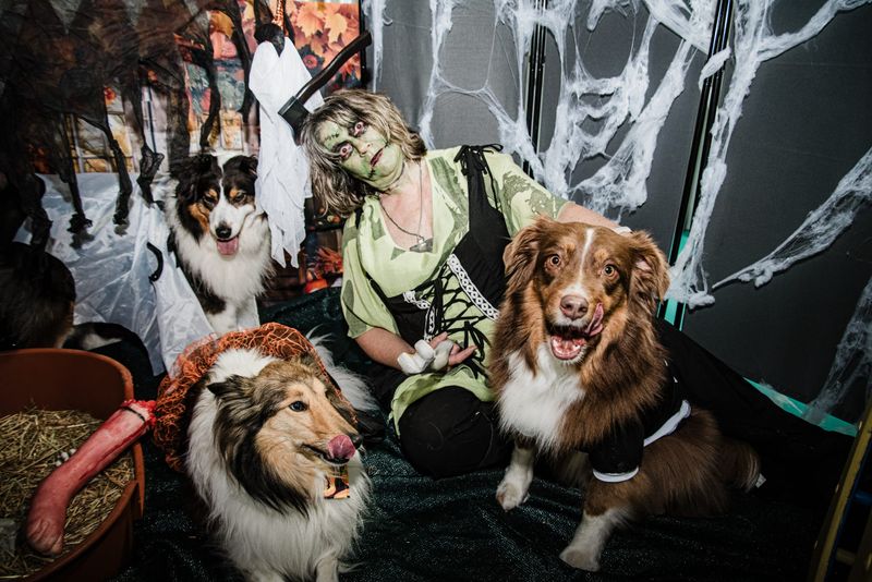 Halloween hounds post image