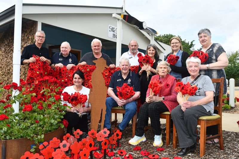 600 poppies to Remember them by post image