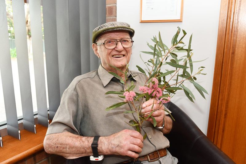 Pink mallee flowers a joy for Laurence post image