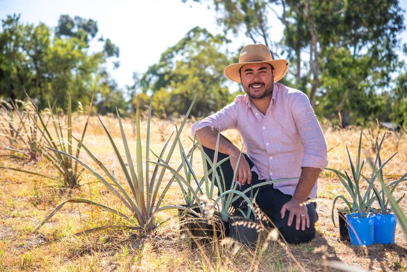 Distilling a new crop post image