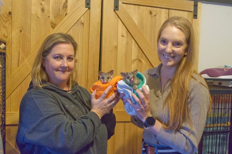 A call for wildlife post image