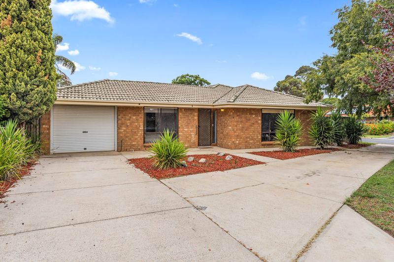 Easy Living on a Corner Allotment post image