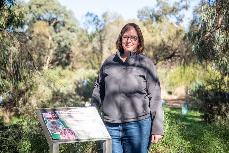 A sign to explore the Barossa Bushgardens post image