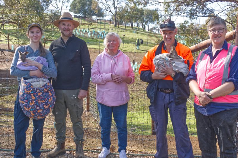 Local organisations to benefit from RAA grants post image