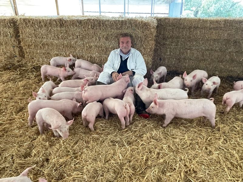'That'll do, pig': Nuri-based pig expert retires after nearly 50 years post image