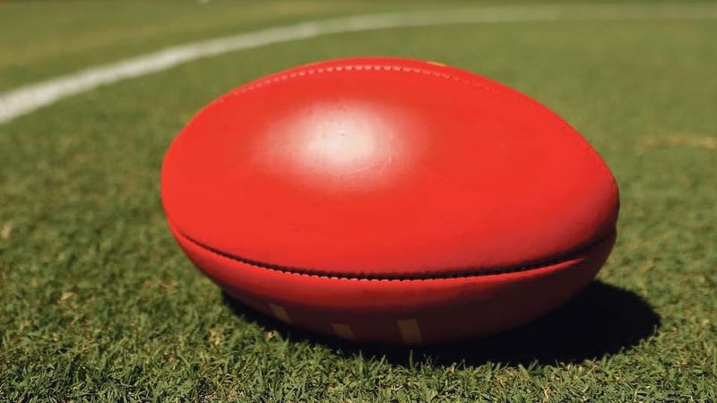 New goalposts score big at Tanunda Primary School post image