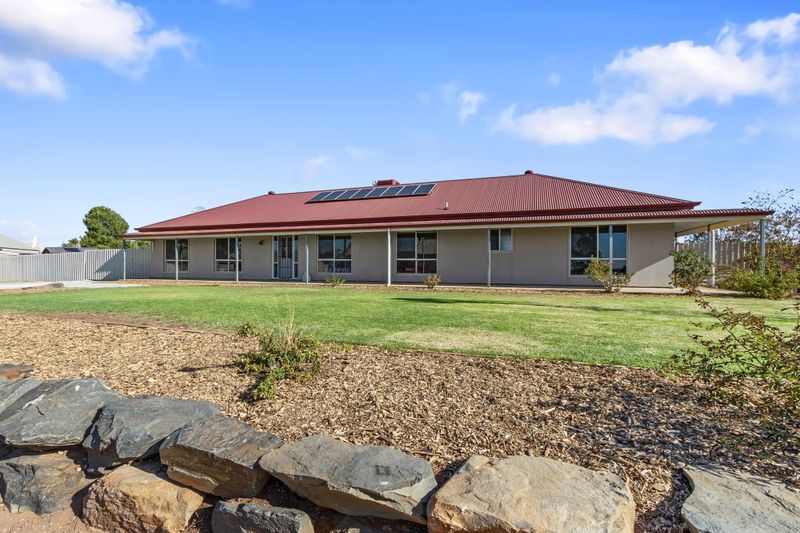 Prime land opportunity in Sedan post image