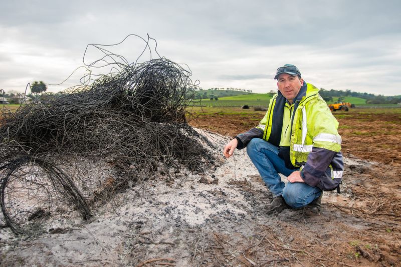 A Vale to vines: Vine Vale grower among latest to pull vines in “brutal” downturn post image