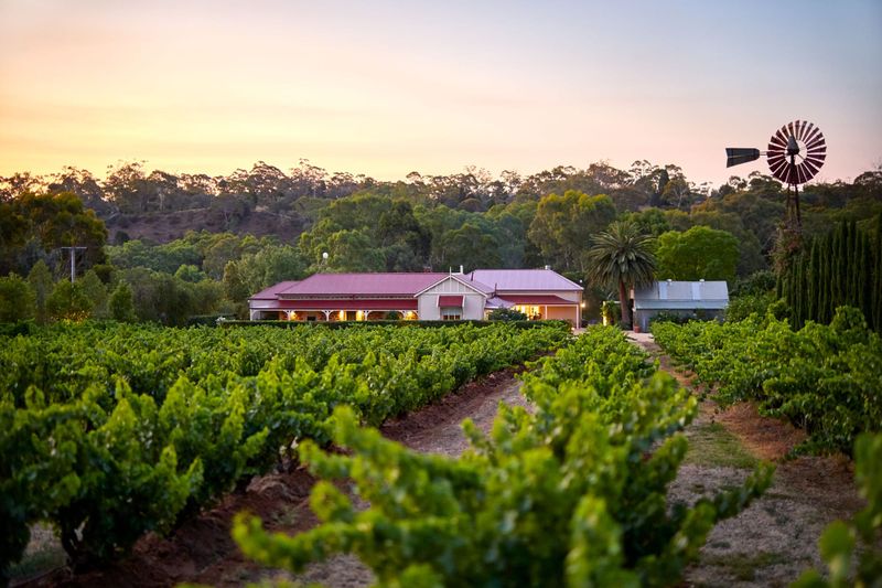 Le Mas Barossa awarded a key post image
