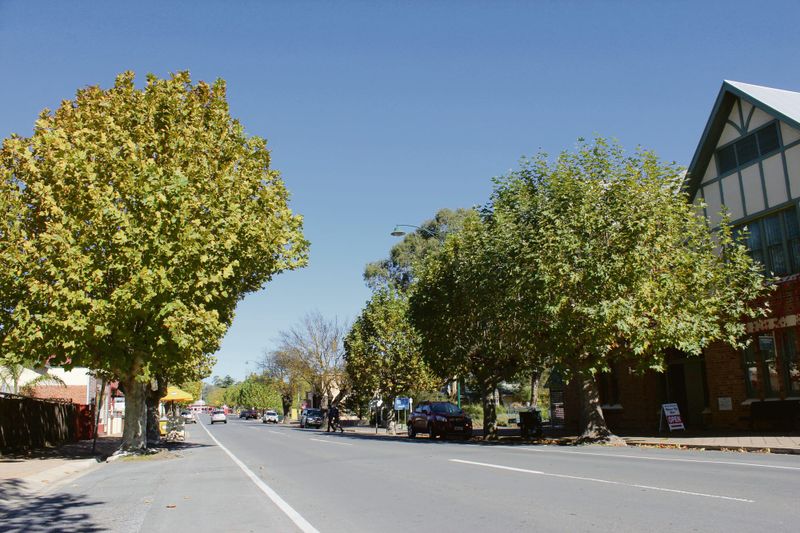 Upgrades for Talunga Park oval announced post image