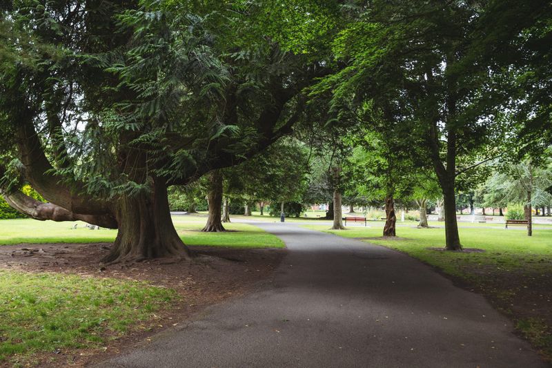 $3 million boost for Friends of Parks and Nature volunteer groups post image