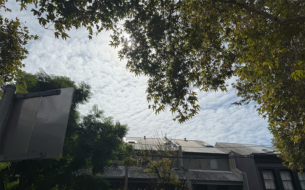 Gorgeous Autumnal Weather Doing The Heavy Lifting Of Spirits Right Now