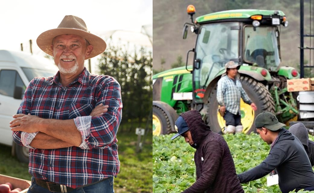 Griffith Farmer Who Only Hires Indian And Fijian Fruit Pickers Deeply Concerned About How Immigration Is Affecting The Cities