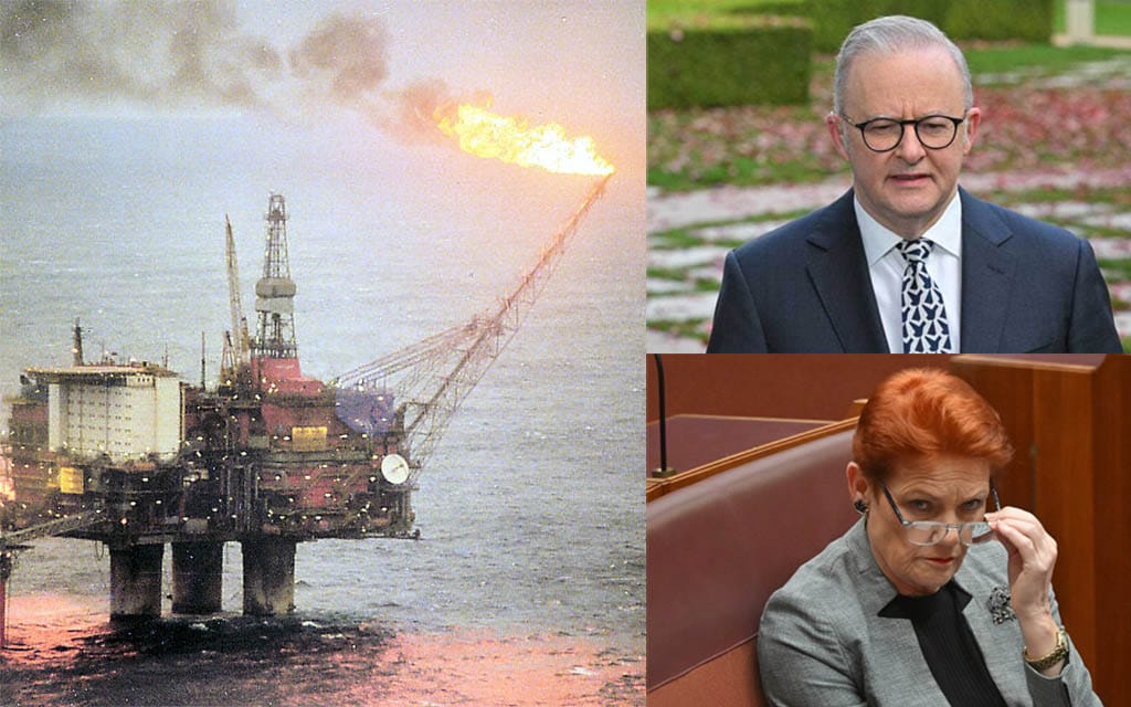 Pauline Hanson Demands Norway-Style Gas And Oil Overhaul Because It's Currently Popular But Not Going To Happen