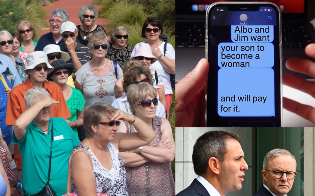 Government Adds Over 50s To Social Media Ban In Effort To Quell Swelling One Nation Vote