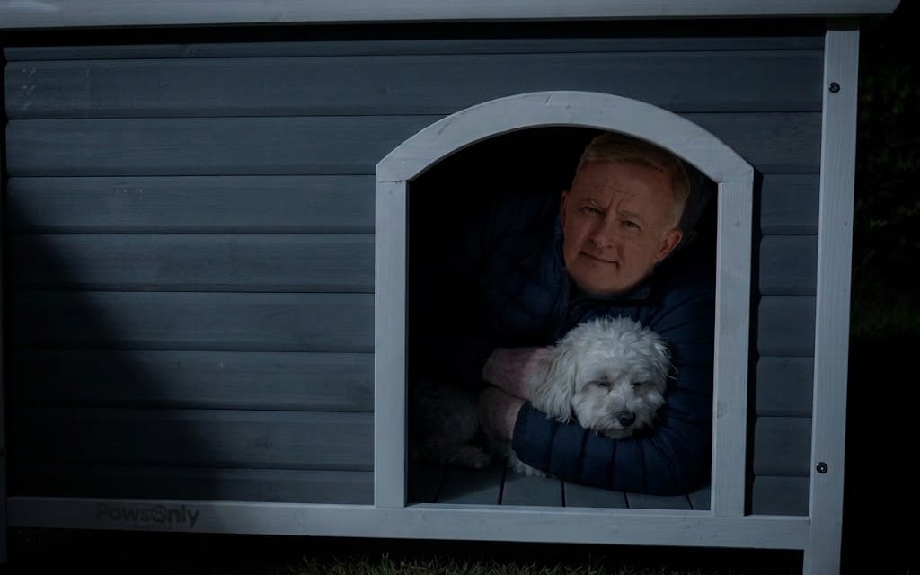 Albo Enjoys First Of Many Nights This Week Out With Toto In The Lodge Backyard