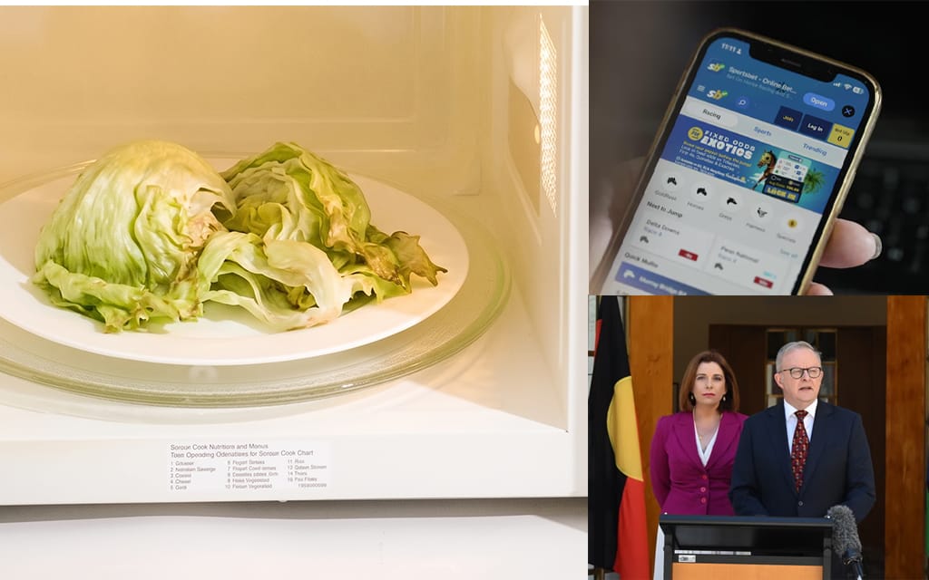 New Gambling Advertisement Bill Written On Soft Microwaved Lettuce