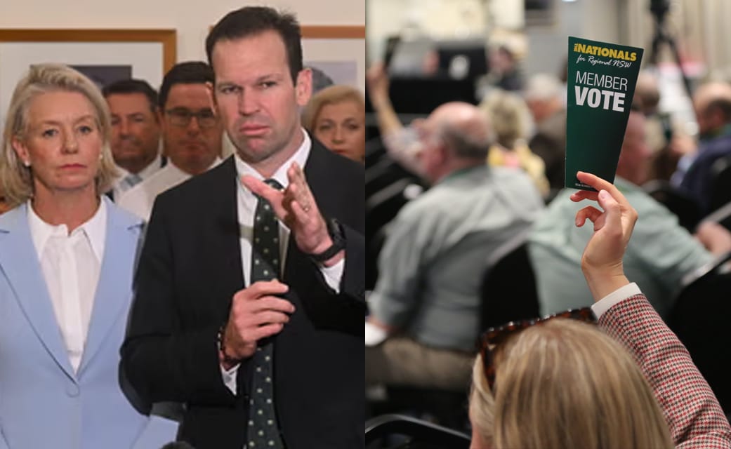 National Party Leaders Criticise Own Members For 'Unhelpful Obsession' With Agriculture And Rural Communities