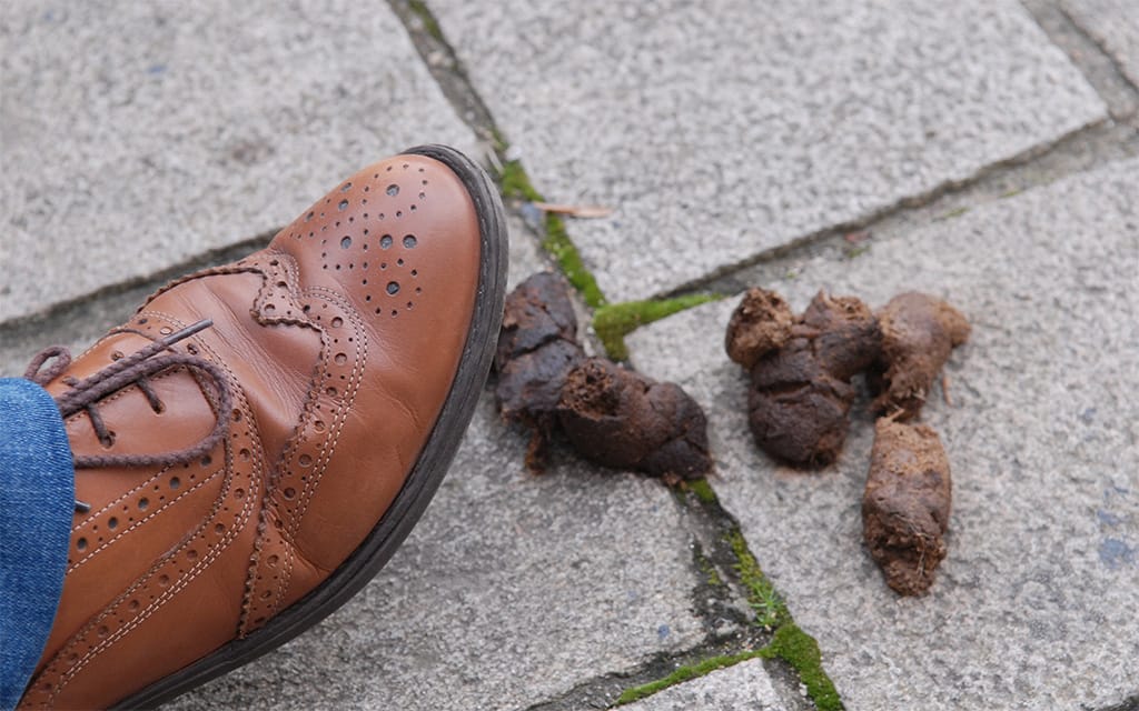Watch Out! Don't Step On The Government's New 'AdStop' Regime!