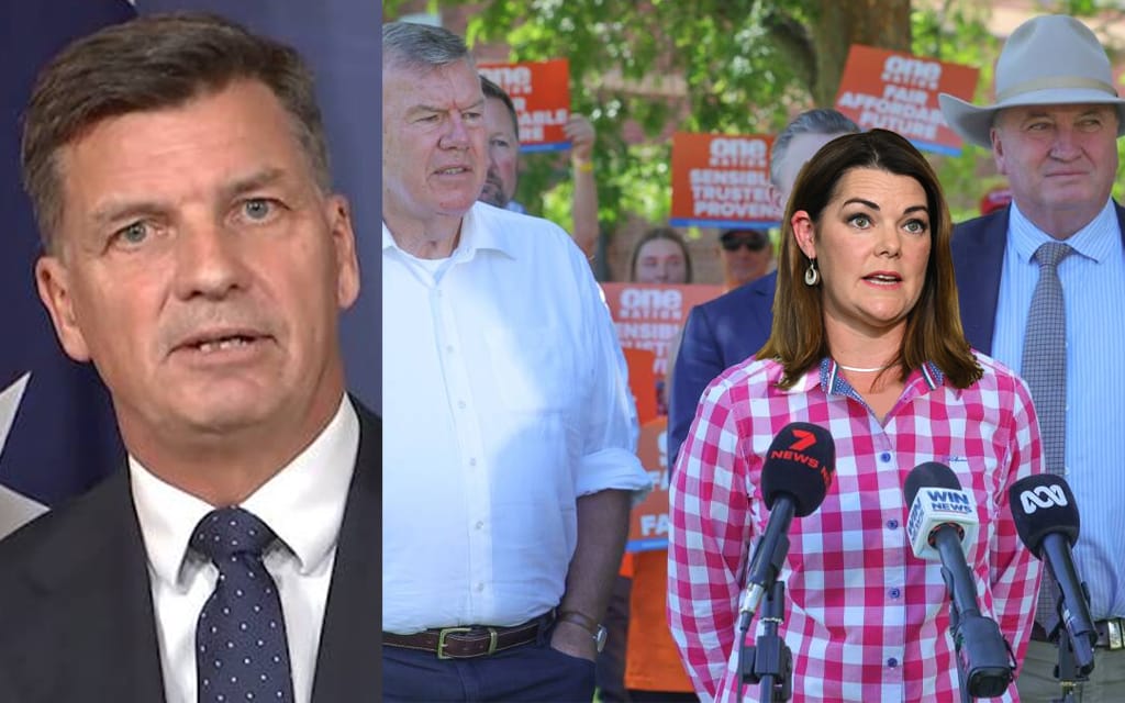 Taylor Vows To Make Hanson Look Like Hanson-Young In Latest Pitch To Disenfranchised Fringe
