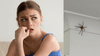 woman scared spider