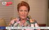 pauline, alternative address, 7pm, betoota, oil crisis