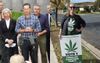 Coalition Dismiss Existential Concerns After Crushing The Legalise Cannabis Party In Farrer By-Election