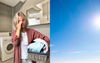 Early Bird Housemate Snakes Washing Machine AGAIN On Glorious Blue Day