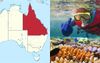 Nation's Hardest Working People Enjoy Rare Public Holiday