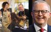 Even Albo Admits These Small Business Memes Of Him Owning 47% Of It Are Pretty Classic
