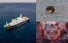 Report: Can We Just Torpedo This Rat Virus Boat Please