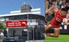 dolphins, Bee Gees, brissy, brisbane, gibbs brothers, NRL, betoota