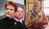 hogan, pelican, pauline hanson, monoculture, betoota