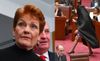 Pauline To Turn Around Nose Diving Opinion Polls By Wearing A Burqa In Parliament For A 3rd Time?