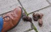 Watch Out! Don't Step On The Government's New 'AdStop' Regime!