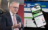 Government Calls Cross Bench A Bunch Of Pussies For Not Signing Up To Punters Club