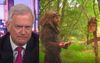 Free Speech Crowd Enters 3rd Week Of Being Offended By Someone Making A Joke About A Billionaire On TV
