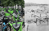 WW2 Expert Says Cluster Of Lime Bikes Harder To Navigate Than The Beach Fortifications At Normandy