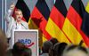 AFD, Betoota, Germany, Saxony