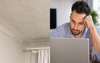 Real Estate Website Adds ‘Not Completely Riddled With Mould’ Search Filter For Aspiring Renters
