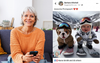 Generation That Aggressively Demonised Wikipedia Continues To Fall For Anything Made By AI
