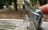 Inner-City Bubbler Shamefully Weak