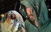 Man: Bogong Moths, I Like You But Please It's Time To Fuck Off Now