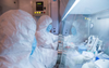Potential Outbreak Of New Siberian Lab Plague Somehow Not The Biggest Worry Right Now