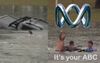 Morayfield Bloke Gets Great Value For His 4 Cents A Day After Being Saved From Floodwaters By ABC Reporter