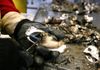 Ancient Nokia lost in Sydney Harbour found after 14 years – still works.